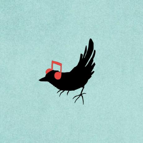 Ting Pei Github - Elegant High Resolution Colorful Photos | Free Download