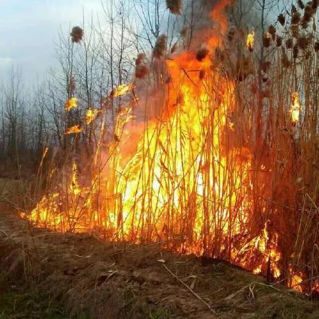 1700111005 Hyz Github - Ultra HD Minimal Designs for Desktop