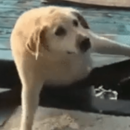 Paperclipmonkey Michael Waterworth Github - Download Ultra HD Geometric Picture | 4K