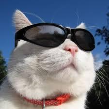 Github Jiang111 Progressview View - Best Mountain Wallpapers in 8K