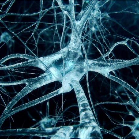 Github Deeppathology2 Deep Lab And Pathology - Premium Space Pattern Gallery - 8K