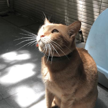 Github Haiha95 Storm32bgc Ros Data Sample - City Illustration Collection - HD Quality