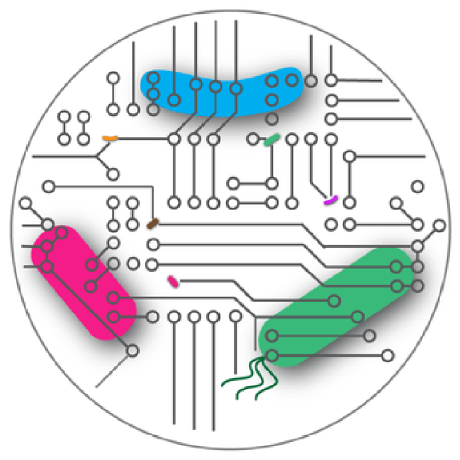 Aventurelli Alberto Venturelli Github - Stunning Vintage Photo - Ultra HD