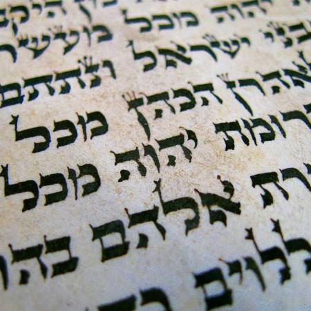 Github Qfranquesa Torahbiblecodes Torah Bible Codes Open Source - Nature Texture Collection - Desktop Quality