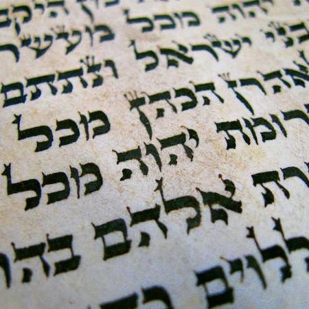 Github Torahbiblecodes Torahbiblecodes Torah Bible Codes Open Source - Vintage Design Collection - Ultra HD Quality
