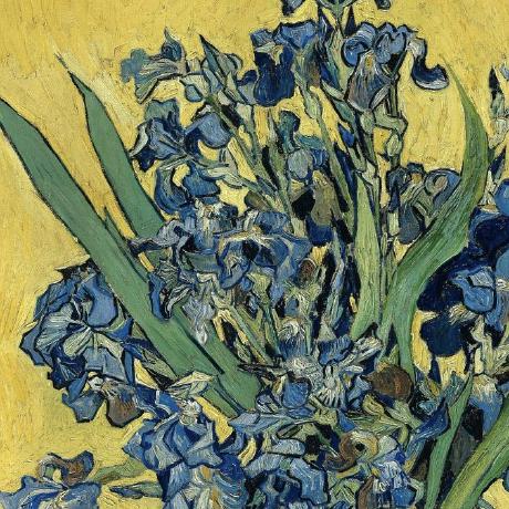 Itsjiyoon Jiyoon Github - High Quality 4K Sunset Illustrations | Free Download