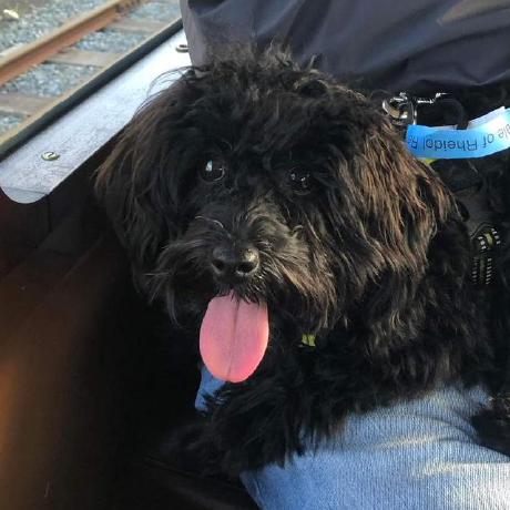 Harvey Devereux Gitlab - Nature Texture Collection - Retina Quality