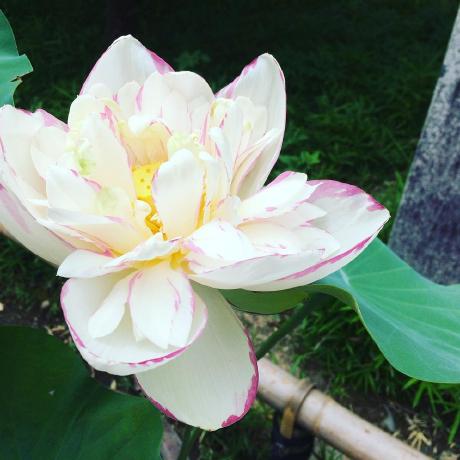 Deanna2000 Deanna Vickers Github - Amazing Space Design - Retina