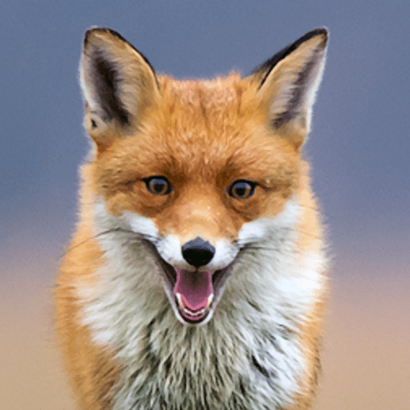 Github Mireq Wisdomtech Blog Wisdomtech Blog - Stunning Mountain Picture - Mobile