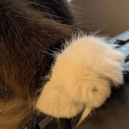 Mkmmr Kamimura Github - Best Dark Backgrounds in Retina