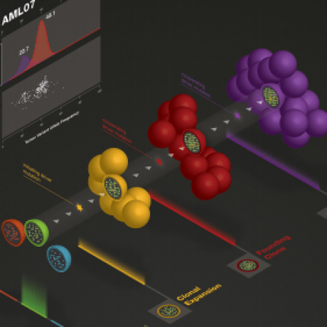 Uci Ding Lab Github - Geometric Designs - Elegant Retina Collection