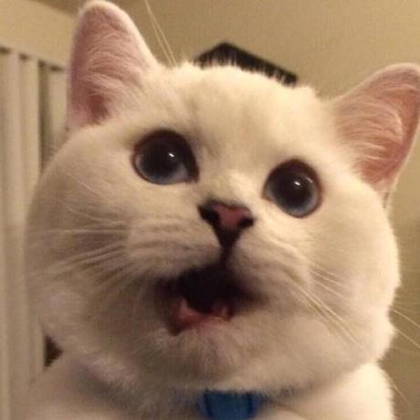 Mryuanshu Yuanshu Github