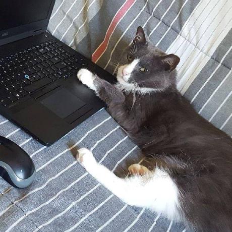 Jami Jan Michalowsky Github - Creative Retina Dark Wallpapers | Free Download