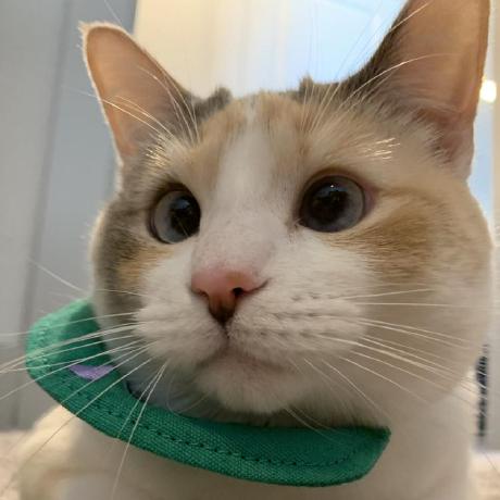 Jthacker Jon Thacker Github - 4K Sunset Textures for Desktop