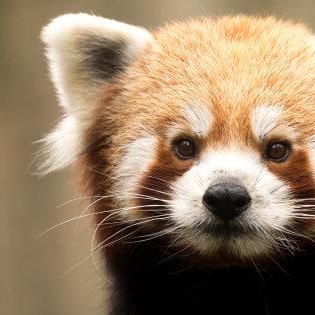 Github Nathanlct Reeds Shepp Curves A Simple Python Implementation - Premium City Image Gallery - 8K