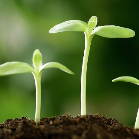 Shane Cc Github - Premium Mountain Photo Gallery - 8K