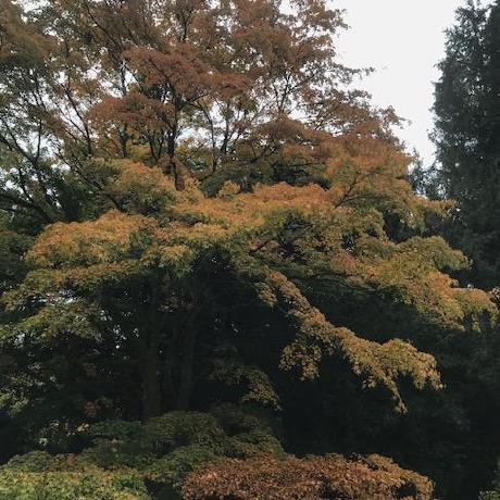 Pritchardmap Pritchard Mapfumo Github - Minimal Wallpapers - Professional Ultra HD Collection