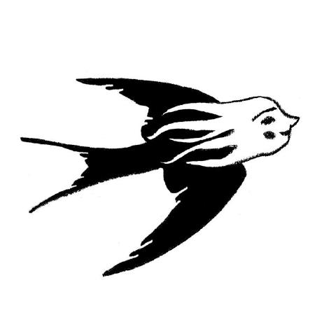 Duvivierbri Brianna Github - Desktop Colorful Illustrations for Desktop