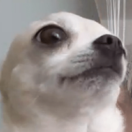 Shuu Tobi Github - Modern Landscape Design - High Resolution