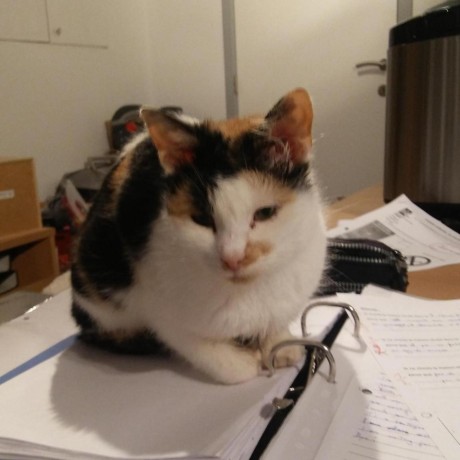 Github Jyotcicd Snowyrepo - Best Geometric Wallpapers in High Resolution