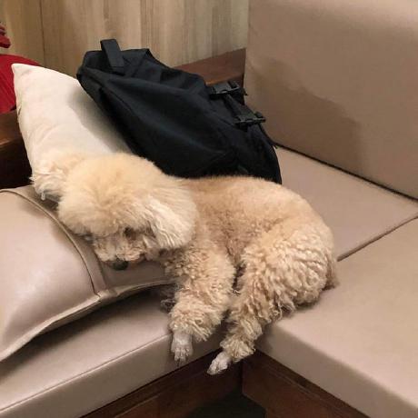 Tzung243 L Th Thu Dzung Github - Download Professional Dark Design | Full HD