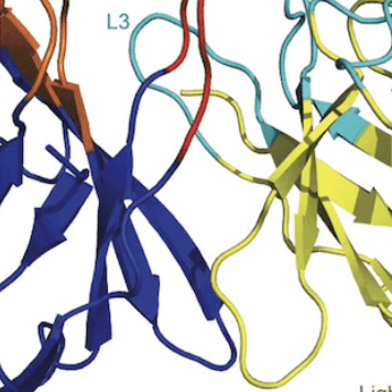 Greycell Lab Greycell Github - Download Amazing Ocean Photo | 8K