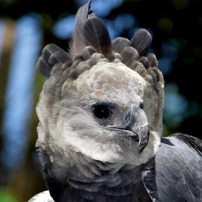 Yanicyt Yanic Github - Best Abstract Wallpapers in HD