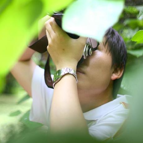 Github Luyitian Flames Full Length Transcriptome Splicing And - Best Vintage Designs in Full HD