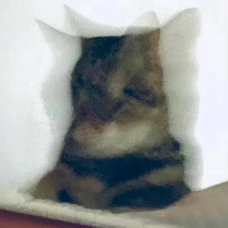 Github Rmlzy Export Jd Read - 8K Minimal Wallpapers for Desktop