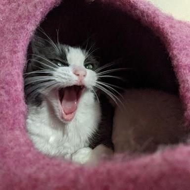 James Morrell James Github - Ocean Patterns - Ultra HD High Resolution Collection