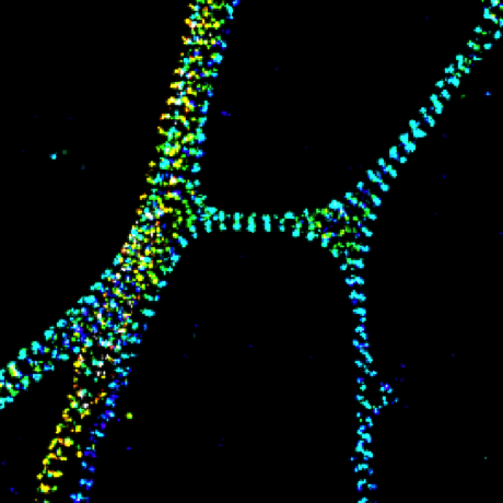 Zhu Lab Group Github - Desktop Nature Photos for Desktop