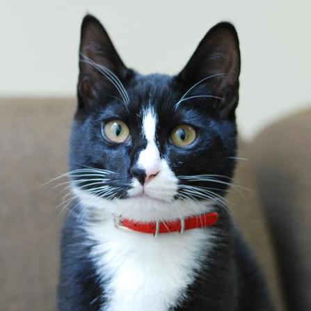 Github Phattarapcru Scit402 Lesson5 - Premium City Background - 4K