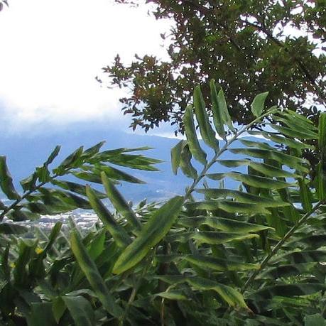 Zsonja Sonja Github - Download Premium Landscape Image | Desktop