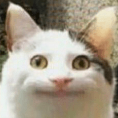 Tompcooper Thomas Cooper Github - Download Incredible Vintage Illustration | Mobile