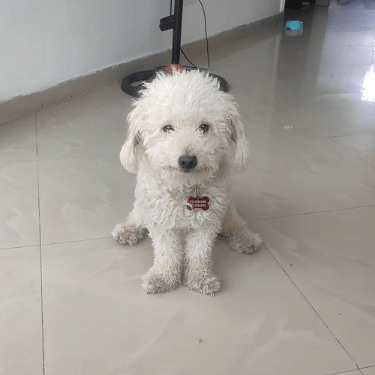 Digant73 Antonino Di Guardo Github - HD Gradient Arts for Desktop