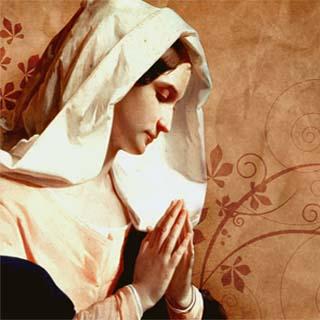 Github Longclipeus Filament Samples - Premium Nature Illustration Gallery - 8K