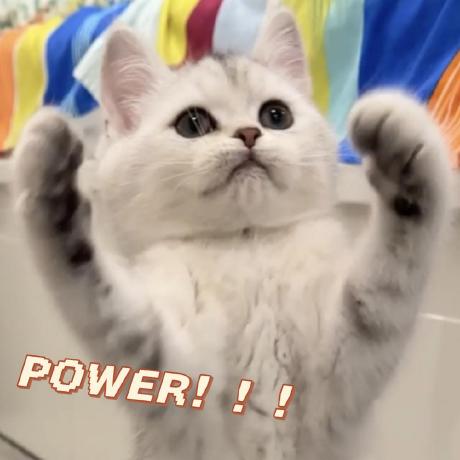 Yicong Technology Github - Elegant HD Colorful Textures | Free Download