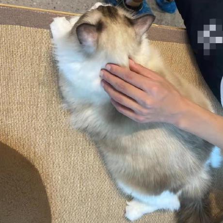 Github Admintest0 Sharpwxdump - Artistic 4K City Illustrations | Free Download