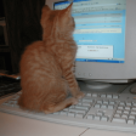 Antidote Phillip Stephens Github