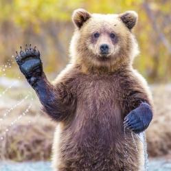 Jhb Jhb Github - Geometric Photo Collection - Ultra HD Quality