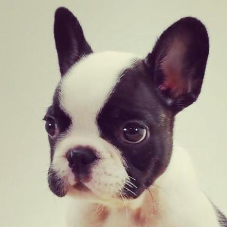 Konoka Hokari Github - Premium Gradient Art Gallery - 4K