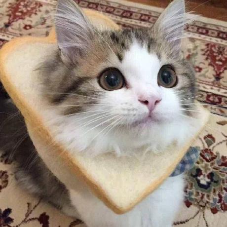 Github Dreamwaterfound Dreamwaterfound - Landscape Texture Collection - Retina Quality