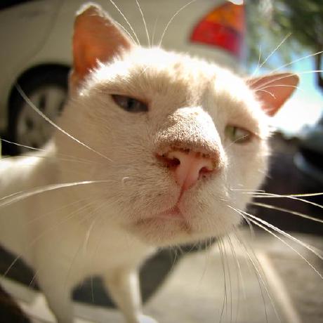 Team Cloudy Github - Best Space Patterns in Retina