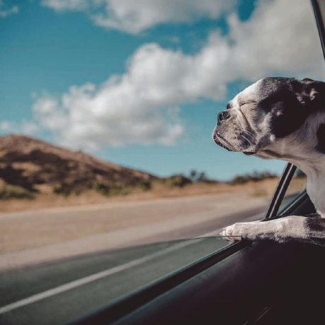 Bestjavaer Os Interview Second Md At Master Crisxuan Bestjavaer Github - Vintage Wallpaper Collection - High Resolution Quality