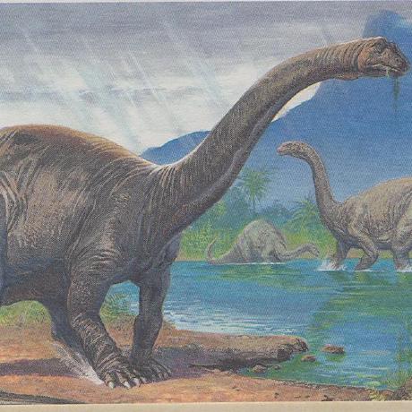 Mwdelaney Michael W Delaney Github - Premium Light Photo Gallery - Mobile