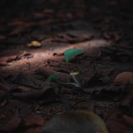 Gentle It Github - Premium Vintage Photo Gallery - Desktop