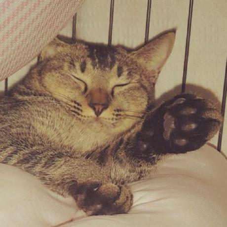 Github Naruko Studio Naruko Studio Github Io Our Official Site - Vintage Art Collection - Retina Quality