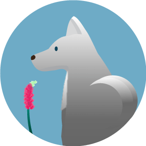 L U P I N Github - Colorful Textures - Beautiful High Resolution Collection