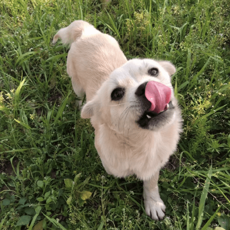 Openelb Github - Perfect 8K Space Pictures | Free Download