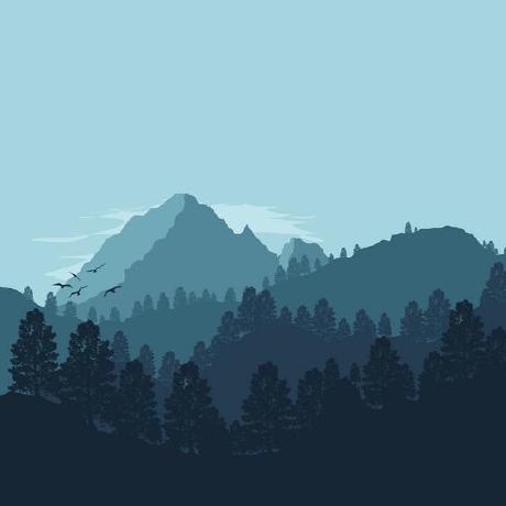 Winner50 Blackwins Github - Professional Landscape Design - 4K